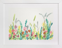 Wildflower and Free