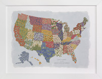 USA in Bloom Children's Art Prints