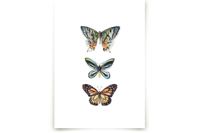 Butterfly Colorful Watercolors Children's Art Prints by Lauren Rogoff Minted