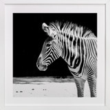 Zebra Children's Art Prints