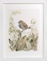 Sparrow Children's Art Prints