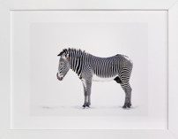 Counting Stripes Children's Art Prints
