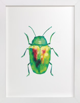 Emerald Dogbane Beetle Children's Art Prints