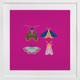Boho Bugs Children's Art Prints