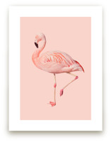 Pink Flamingo by Jessica C Nugent