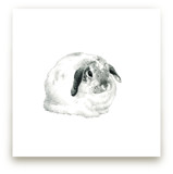 Lop Eared Bunny Rabbit by Corinne Aelbers