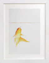 Aquatic High Jump 1 of 3 Children's Art Prints