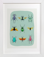 insect collection Children's Art Prints