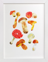 Forest mushrooms Children's Art Prints
