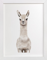 Baby Animal Llama Children's Art Prints