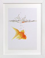 Aquatic High Jump 3 of 3 Children's Art Prints