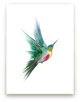 hummingbird by Sara Shashani