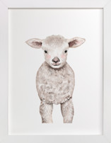 Baby Animal Sheep Children's Art Prints