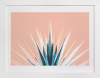 Pastel Cactus Children's Art Prints