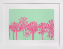 Palms in Colors