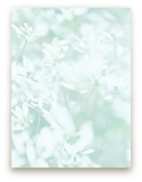 wispy Children's and Nursery Wall Mural