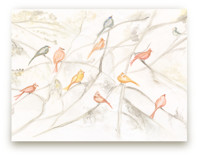 Birds on trees Children's and Nursery Wall Mural