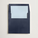 Pinstripe Slip-In Envelope Liners