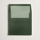 Pinstripe Slip-In Envelope Liners