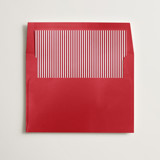 Pinstripe Slip-In Envelope Liners