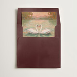 Swans Slip-In Envelope Liners