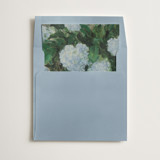 Hydrangeas