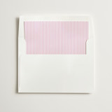 Pinstripe Slip-In Envelope Liners