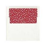JOY TOY Slip-In Envelope Liners