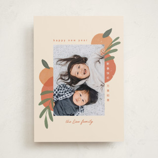 Mandarin Oranges Lunar New Year Cards