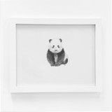 Panda Original Drawings