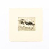 Animal Etching Original Painting