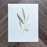 Olive Branch Original Painting