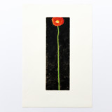 Poppy Painting Original Painting