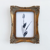 Ink Botanical I Original Painting