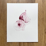 Purple Figs Fruit 01