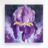 'Iris: Tennessee' Original Painting