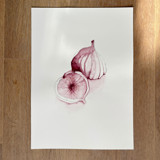 Purple Figs Fruit 03