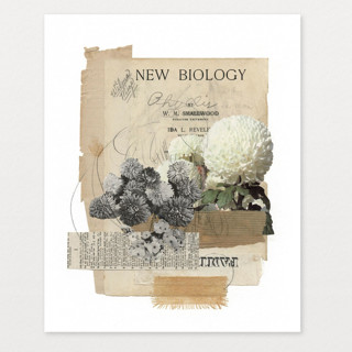 New Biology Original Mixed Media