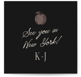 New York Toile by Jenna Holcomb