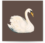Painted Swan Mini Enclosure Cards