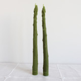 ASPARAGUS TAPER BEESWAX CANDLES PAIR Candles & Holders
