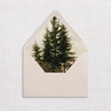 Tree Envelope Liners, Nature, Pack of 25 Envelope Liners