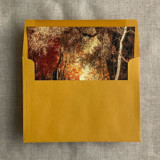 Fall afternoon landscape painting envelope liner for A7 square flap envelope | pack of 10 Envelope Liners