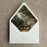 Olive tree grove fine art landscape printed liner for A7 euro flap envelope | pack of 10 Envelope Liners