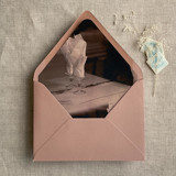 Rosé table setting for guests printed envelope liner for A7 euro flap envelope | pack of 10 Envelope Liners