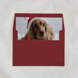 Custom ‘Pet’ Envelope Liners, Square Flap, Pack of 25 Envelope Liners