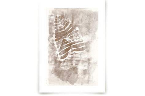 Contemporary Botanical Series 2 Fine Art Prints