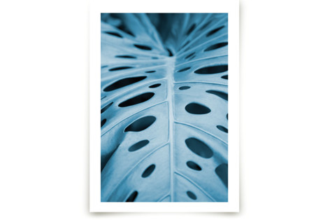 Color Palette l Fine Art Prints
