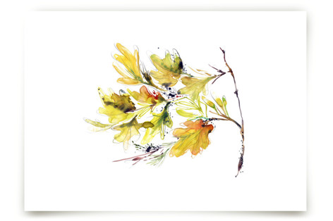 Bounty Fine Art Prints