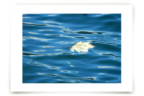 Autumn Zen Fine Art Prints